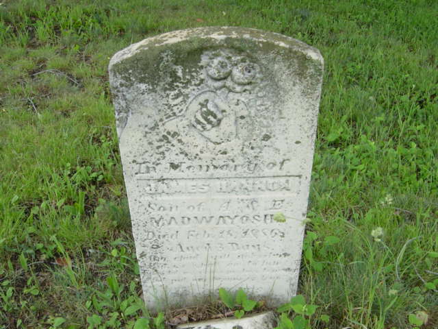 search cemetery saugeen cemetery bruce county ontario death records 