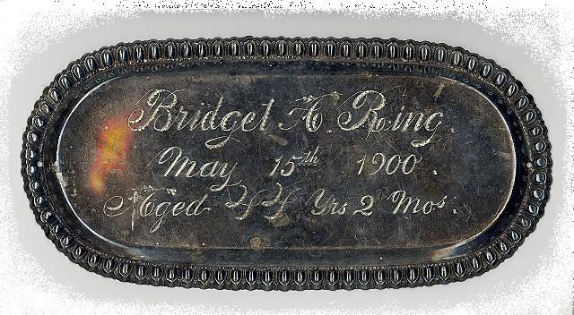 The Free Genealogy Death Record on the Coffin Plate of Bridget A Ring 1856 ~ 1900