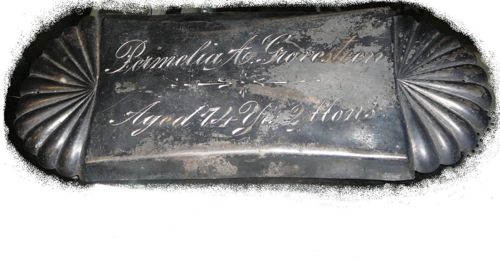 The Free Genealogy Death Record on the Coffin Plate of Pamelia A Grovesteen