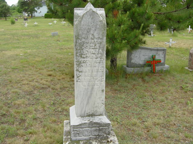 search cemetery saugeen cemetery bruce county ontario death records 